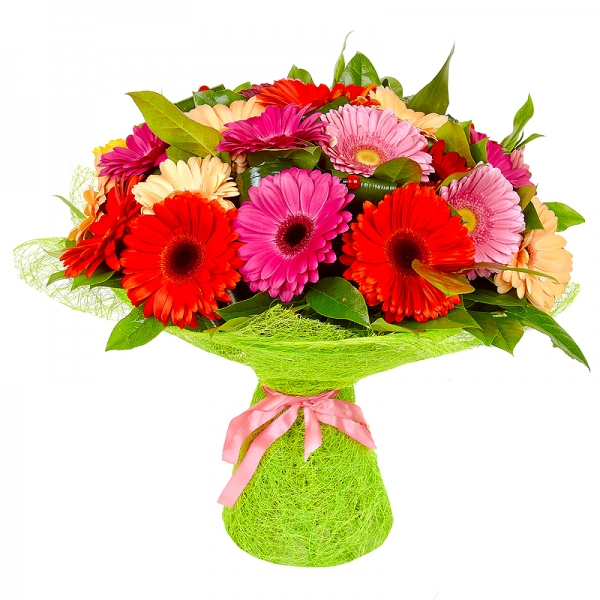 15 multi-colored gerberas